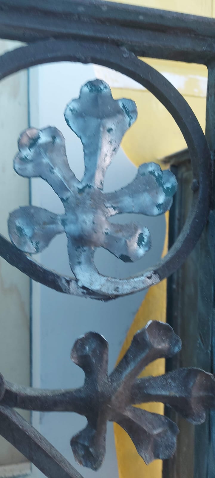 WhatsApp Image 2025-05-12 at 3.39.50 PM(1)